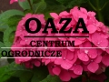 Oaza Zdzisław Jabczyński, Chełmno godziny otwarcia