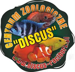 DISCUS, Racibórz godziny otwarcia