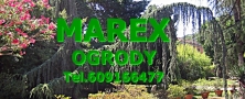 Marex Łątka Marek, Tuchów godziny otwarcia