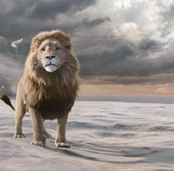 Księgania-Antykwariat Narnia, Łęczyca godziny otwarcia