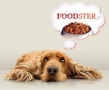 Foodster.pl -Karmy Dla Psa i Kota, Lublin godziny otwarcia