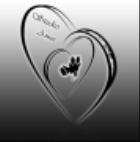 Amor Studio Wideo-Foto Robert Madetko Tel.604622399, Mielec godziny otwarcia
