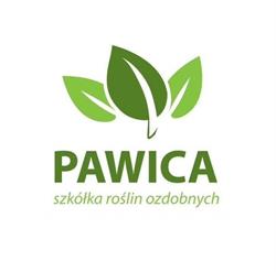 Szkółka Pawica, Czaniec godziny otwarcia