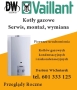 D.W. Serwis Vaillant Dariusz Wichniarek, Poznań - godziny otwarcia