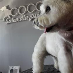 Strzyżenie Psów Swarzędz Salon "coco", Jasin godziny otwarcia