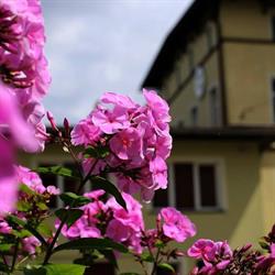 Pasywa Biuro Rachunkowe, Jelenia Góra godziny otwarcia