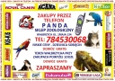 Sklepy Zoologiczne Wałbrzych, godziny otwarcia