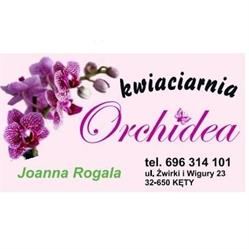 Kwiaciarnia Orchidea, Kęty godziny otwarcia