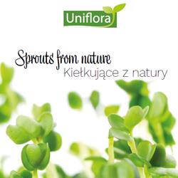 Uniflora Sp. z o.o., Częstochowa godziny otwarcia