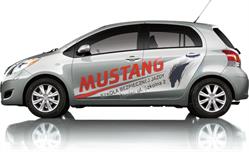 Mustang Szkoła Bezpiecznej Jazdy, Agata Ulrych, Żywiec godziny otwarcia