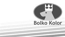 Bolko-Kolor Sprzedaż Lakierów Bolesław Cieślar, Ustroń godziny otwarcia