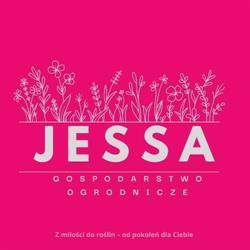 Jessa Cezary Gospodarstwo Ogrodnicze, Łódź godziny otwarcia