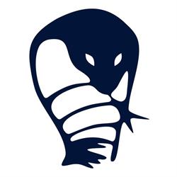 Kobra sp.j. Odzież robocza, używana. Czyściwa, Żary godziny otwarcia