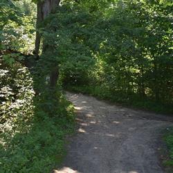 Ośrodek Profilaktyki i Terapii Uzależnień, Radom godziny otwarcia