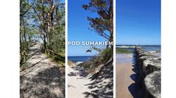 Pod Sumakiem - Pokoje nad morzem, Dźwirzyno godziny otwarcia