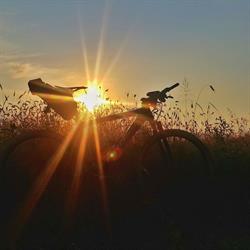 Rowertur Serwis Rowerowy Jerzy Winsze, Warszawa godziny otwarcia