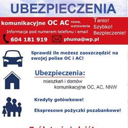 Usługi ubezpieczeniowo - finansowe, kredyty, Żychlin godziny otwarcia