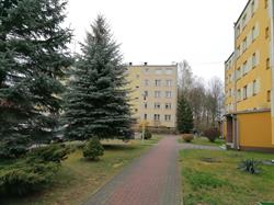 Osada Leśna. Spółdzielnia Mieszkaniowa, Mińsk Mazowiecki godziny otwarcia