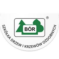Szkółka Drzew i Krzewów Ozdobnych BÓR, Sędziszów godziny otwarcia