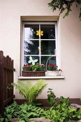 Kraina Lwa Leona S.C., Pruszków godziny otwarcia