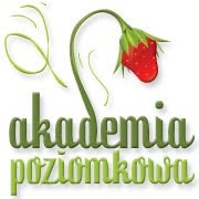 Poziomkowa Akademia Przedszkole Agnieszka Bolek, Piaseczno godziny otwarcia