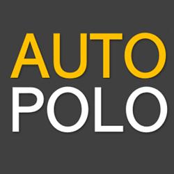 Auto Polo Sp. z o.o. Serwis blacharsko - lakierniczy, Skórzewo godziny otwarcia