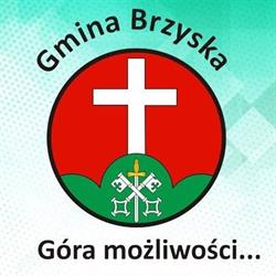 Urząd Gminy, Brzyska godziny otwarcia