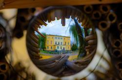 Technikum Uzupełniające dla Dorosłych w Zespole Szkół Rolnicze Centrum im. W. Witosa, Mokrzeszów godziny otwarcia