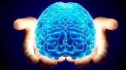 Sensorium Centrum Diagnostyki I Neuroterapii, Poznań - godziny otwarcia