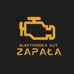 Elektronika-Aut. Zapała G., Strawczyn godziny otwarcia