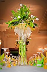Centrum Ogrodnicze El-Jan s.c. E.Kołodziejek, J. Kołodziejek, S. Kiczka, Świebodzin godziny otwarcia