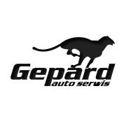 Gepard Autoserwis Autogaz Mechanika samochodowa Klimatyzacja Konserwacja Landirenzo Lovato Stag, Katowice - godziny otwarcia