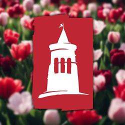 Strzelecki Ośrodek Kultury, Strzelce Krajeńskie godziny otwarcia