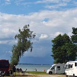 Camping Echo nr 55, Rydzewo godziny otwarcia