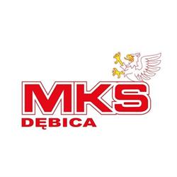 Miejska Komunikacja Samochodowa Sp. Z O.o., Dębica godziny otwarcia