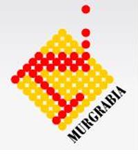 Murgrabia PHU Wojciech Murgrabia, Szczecin godziny otwarcia