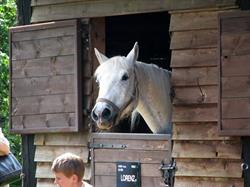 Pony. Gospodarstwo agroturystyczne., Długomiłowice godziny otwarcia
