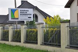 Szkółka Roślin Ozdobnych Pudełko. P9, sadzonka, Kęty godziny otwarcia