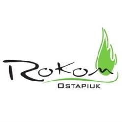 ROKOM Pompy ciepła, rekuperacja, instalacje grzewcze, kominki, kotłownie, Rybnik godziny otwarcia