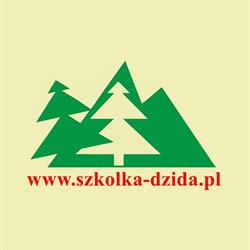 Dzida Eugeniusz. Szkółka drzew i krzewów ozdobnych, Brenna godziny otwarcia