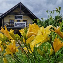 Tajemniczy Ogród Szczytna - Bed&Breakfast, godziny otwarcia