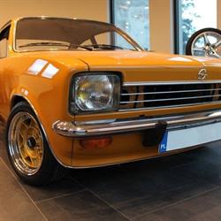 Top Tigra. Śleziak Ł., Czechowice-Dziedzice godziny otwarcia