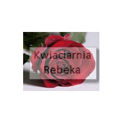 Sprzedaż Kwiatów Małgorzata Olszewska Kwiaciarnia Rebeka, Warszawa godziny otwarcia