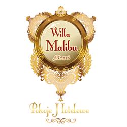 Willa Malibu Anna Wójcik, Ustroń godziny otwarcia