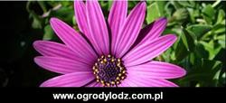 Ogrody Łódź, godziny otwarcia
