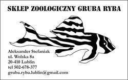 Gruba Ryba Sklep Zoologiczny Aleksander Stefaniak, Lublin godziny otwarcia
