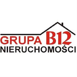 Grupa B12. Usługi Geodezyjne, Kraków godziny otwarcia