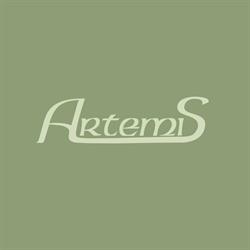 Artemis Gabinet Kosmetyczny, Rybnik godziny otwarcia