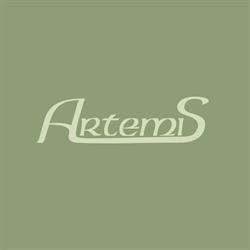 Artemis Gabinet Kosmetyczny, Rybnik godziny otwarcia
