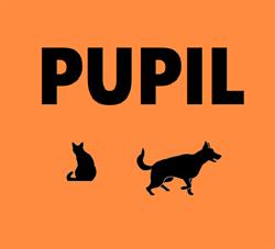 Pupil. Sklep. Owczyńska A., Chrzanów godziny otwarcia